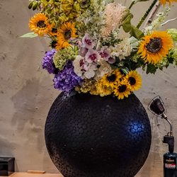 Kabuto - Decor