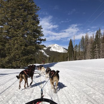 Monarch Dog Sled Rides - Dog Parks Near Me Monarch Dog Sled Rides - Dog Parks Near Me
