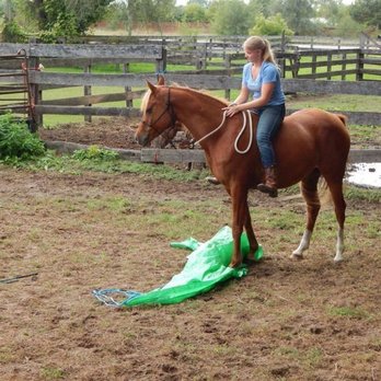 Tranquility Horsemanship - Horseback Riding Near Me