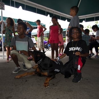 K-9 Specialist - Pet Training Near Me