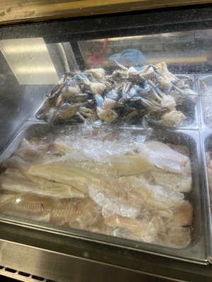 Quality Fresh Seafood by null