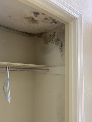 Mold Removal - Water damage restoration includes the complete process of water cleanup from beginning to end–(removal of water, drying items and structures, and moving restored items back). Water remediation is a term equivalent to water damage restoration. Mold Removal - Water damage restoration includes the complete process of water cleanup from beginning to end–(removal of water, drying items and structures, and moving restored items back). Water remediation is a term equivalent to water damage restoration.