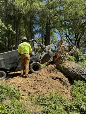 Vema Tree Service on Yelp