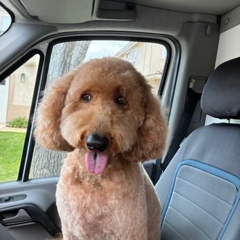 Pampered Tails Camarillo Mobile - Pet Groomers Near Me Pampered Tails Camarillo Mobile - Pet Groomers Near Me