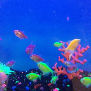 PetSmart - Pet Training Near Me - Salt Lake City, Utah