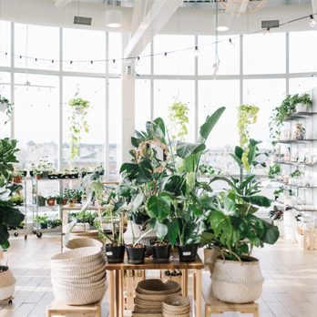 Botaniful - Nurseries & Gardening Near Me - Edmonton, Alberta