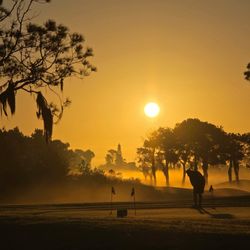 Falcon's Fire Golf Club