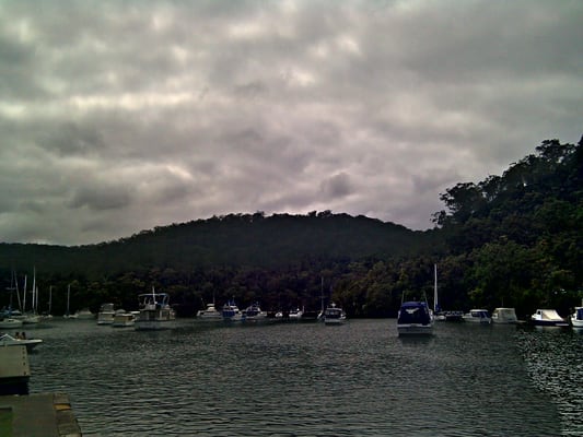 Ku-ring-gai Chase National Park by null