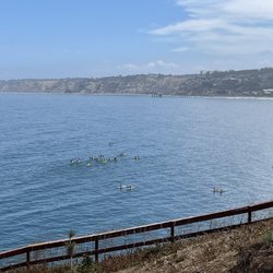 La Jolla Underwater Park