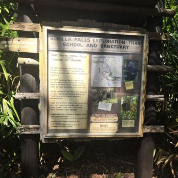 Gorilla Falls Exploration Trail - Amusement Parks Near Me - Lake Buena Vista, Florida
