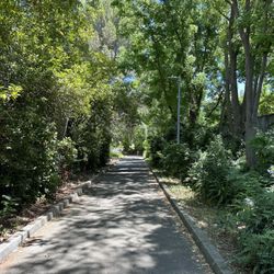 Davis City Offices - Pleasant walk on green belt.