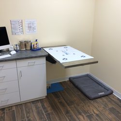 Dog exam room