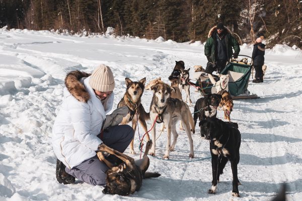 Last Frontier Mushing Co-op by null