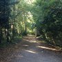 Photo of Doneraile Wildlife Park