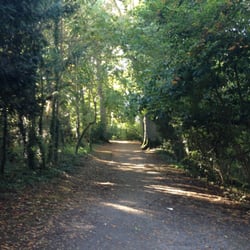 Doneraile Wildlife Park