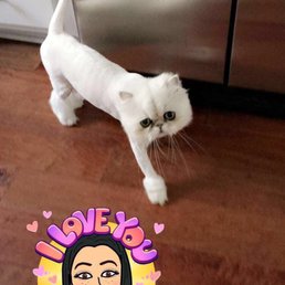 Grooming by Melissa