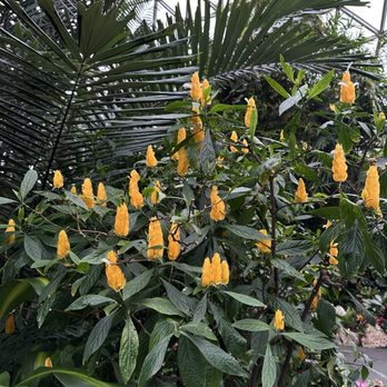 Bloedel Conservatory - Botanical Gardens Near Me - Vancouver, British Columbia