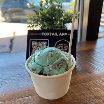 Foxtail Coffee - Kelly's ice cream - Cookie Monster flavor - Coffee Roasteries Near Me - Ponte Vedra Beach, Florida Foxtail Coffee - Kelly's ice cream - Cookie Monster flavor - Coffee Roasteries Near Me - Ponte Vedra Beach, Florida