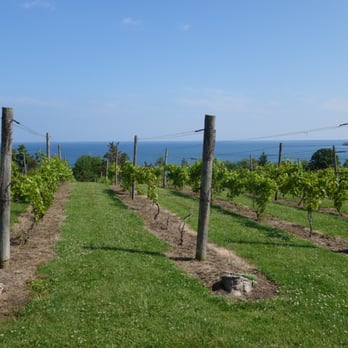 County Cider Company - Cideries Near Me - Waupoos, Ontario County Cider Company - Cideries Near Me - Waupoos, Ontario