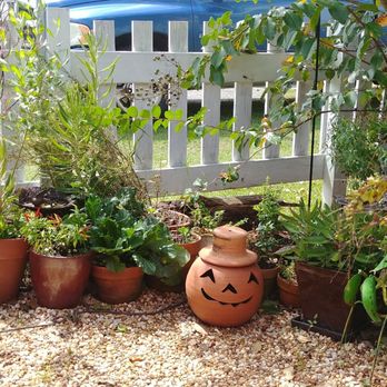 Rutabaga Cafe - Cute garden - American Near Me - Chattahoochee, Florida