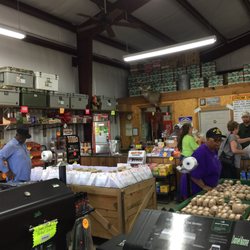 Produce Shed - Produce Shed interior