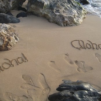 Laniakea Beach - Beaches Near Me - Haleiwa, Hawaii