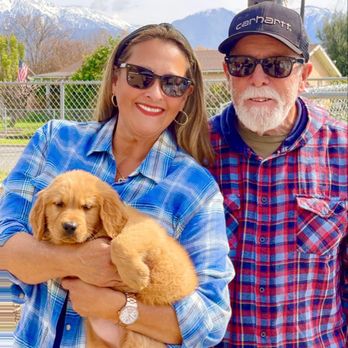 Blessed Goldens - Zack- 8 weeks! - Pet Adoption Near Me
