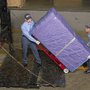 Photo of Swifty Movers