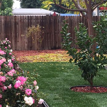 Sanchez Gardening - Tree Services Near Me - Los Angeles, California Sanchez Gardening - Tree Services Near Me - Los Angeles, California
