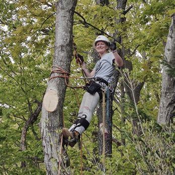Macy's Tree Care Specialists - After pic of silver maple/taking a lead off going over backyard - Tree Services Near Me - Trinity, North Carolina