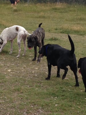 Bowness Park by null