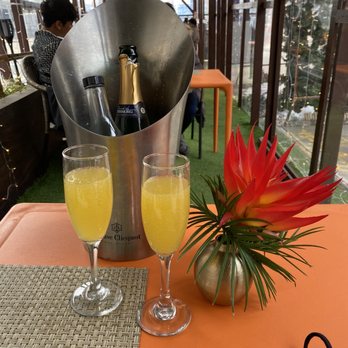 Kokomo - Mimosas! - Caribbean Near Me - Brooklyn, New York