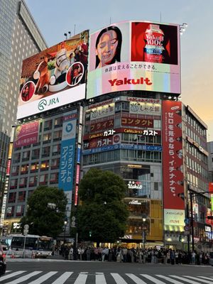 Shibuya Crossing by null