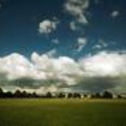 The Downs