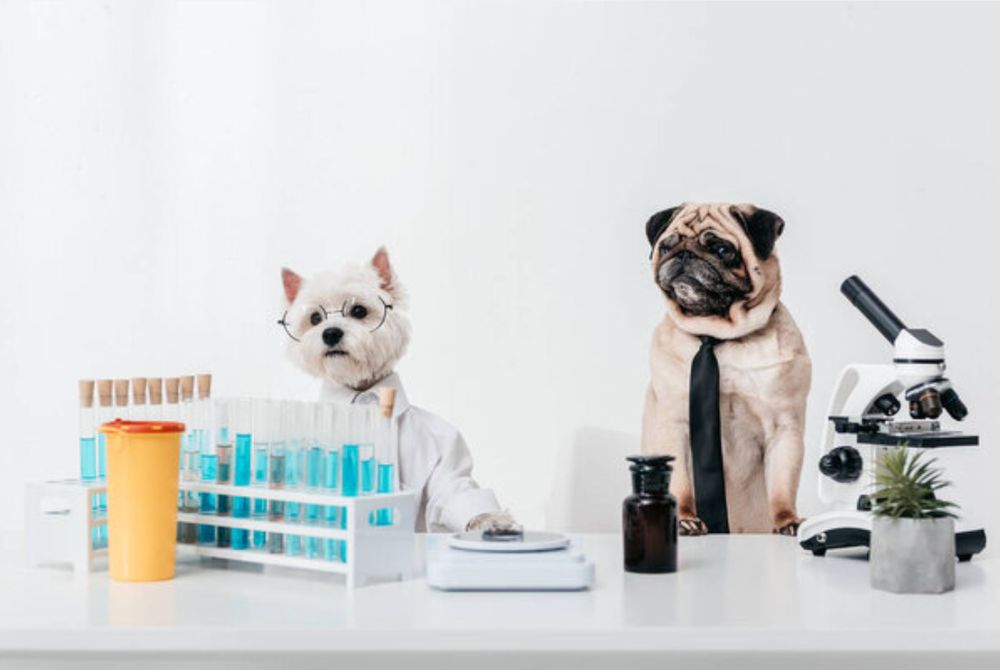 NEWARK VETERINARY PHARMACY Updated September 2024 103 Carson Dr