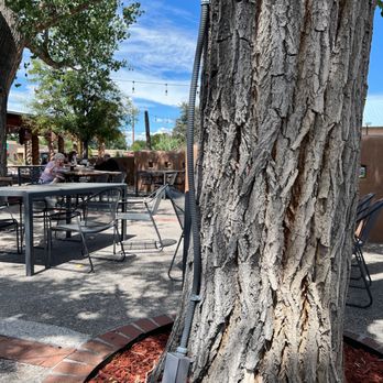 Village Pizza - Fire hazard - The image shows an outdoor dining space with metal tables and chairs, situated under trees with green foliage. A large tree with textured bark is prominent in the foreground, with electrical wiring and a gray electrical box attached to its trunk. The background includes string lights, a brown wall, and a clear blue sky with some clouds, indicating a sunny day. - Pizza Near Me - Corrales, New Mexico