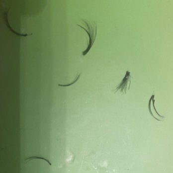 Deka Lash - Ugh - Eyelash Service Near Me - Chamblee, Georgia