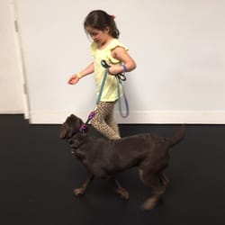 Tuxedo's K9 Training Camp - We start young with our students.