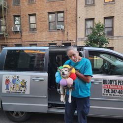 Buddy's Pet Coach
