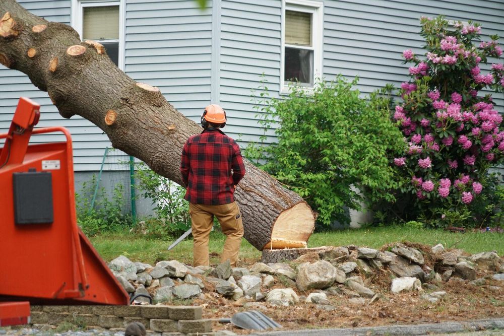 NYC Tree Pro - tree service in New York, NY