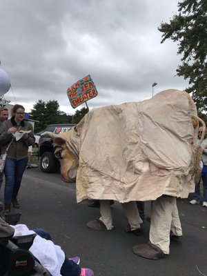 Hudson Valley Garlic Festival by null