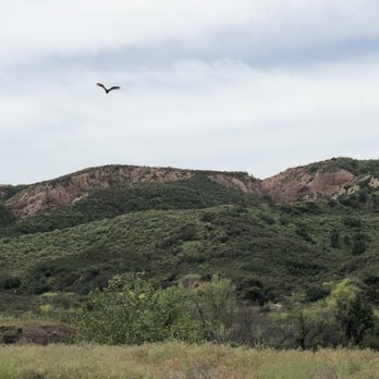 Black Star Canyon Trail - Hiking Near Me - Orange, California