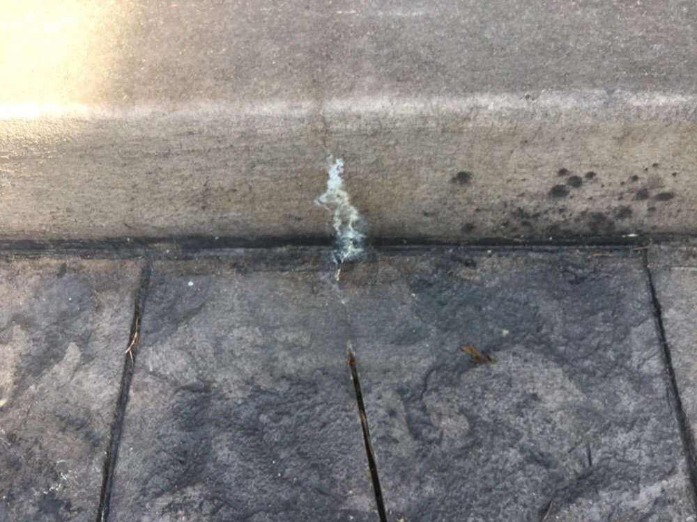 ATLAS CONCRETE Updated September 2024 2413 W Main St, Kalamazoo