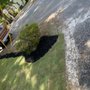 Turf Dogs Landscaping
