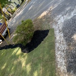 Turf Dogs Landscaping - Sod installation and mulch border