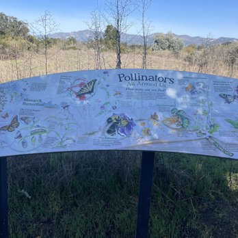 Coronado Butterfly Preserve - Butterfly preserve - Parks Near Me - Goleta, California Coronado Butterfly Preserve - Butterfly preserve - Parks Near Me - Goleta, California