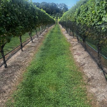Del Vino Vineyards - Wine Tasting Room Near Me - Northport, New York Del Vino Vineyards - Wine Tasting Room Near Me - Northport, New York