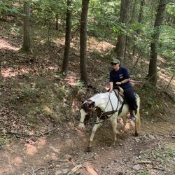 The Rocking S Ranch - Horse back riding