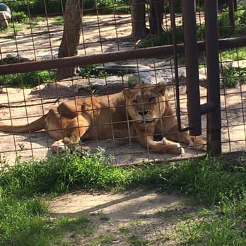 International Exotic Animal Sanctuary - Zoos Near Me International Exotic Animal Sanctuary - Zoos Near Me