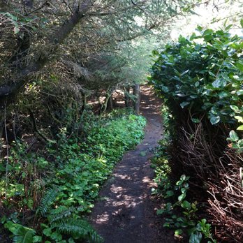 Cape Sebastian State Park - Along the Cape Sebastian State Park Hiking Trail also - Parks Near Me